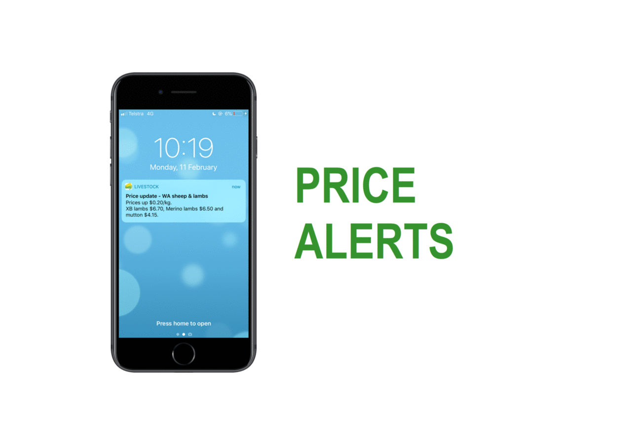 Sheep & Goat Archives LIVEstock Pricing